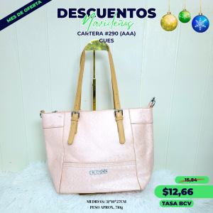 CARTERA #290 GUE