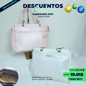 CARTERA #273 GUE