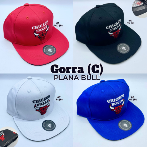 GORRA (C) PLANA - Imagen 2