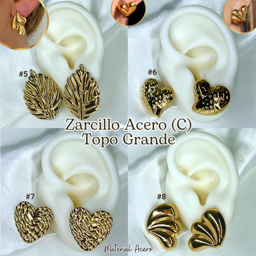ZARCILLO ACERO (C) TOPO GRANDE - Imagen 2