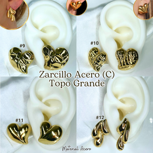 ZARCILLO ACERO (C) TOPO GRANDE - Imagen 3