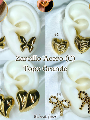 ZARCILLO ACERO (C) TOPO GRANDE