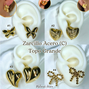 ZARCILLO ACERO (C) TOPO GRANDE