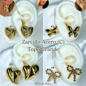 ZARCILLO ACERO (C) TOPO GRANDE